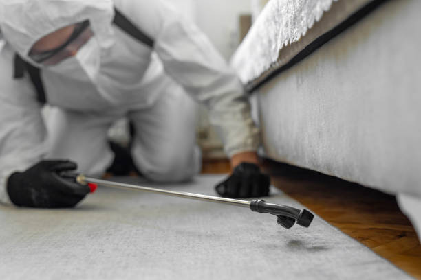 Professional Termite Control technician working in Third Lake, IL