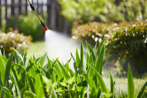 24/7 Emergency Termite Control experts in Third Lake, IL